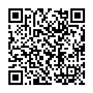 想来是太多客人受到惊吓去找酒店工作人员问情况二维码生成