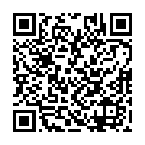 想来是那夏侯赢这么久了还是解不了萧黎身上的毒二维码生成