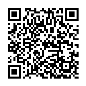 想来现在留守在西荒界的天仙人数绝对不会超过八个二维码生成