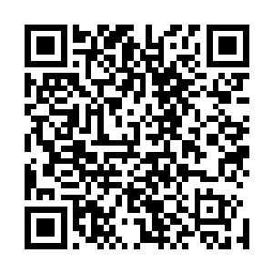想来这一刻的那些辰家至强早已是追随这邪族前往了阎王海二维码生成