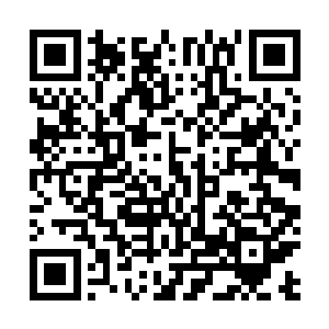 想来这些人族强者在牺牲的时候必然也是怀着无限的恨意二维码生成