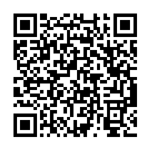想来这厮就是要用这种堪比凌迟的濒死绝望刺激猎物二维码生成