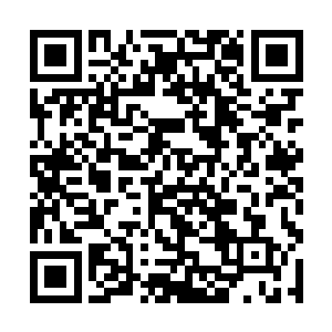 想来这就是四位主宰一开始创造出九转神皇诀的初衷二维码生成