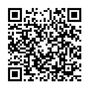 想来这片一直延伸到湖边的稀疏树林就当成他们的防空遮蔽了二维码生成