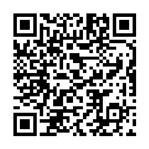 想来这趟造访客人也无非是老郡王那一支的黄胄子弟二维码生成