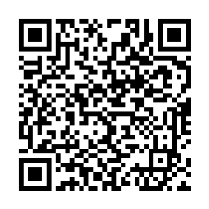 想来风尊为了躲避龙岩此招也是不得不施展了一些秘术二维码生成