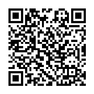 想来鬼族也是把它们所有能搜集到的人类都聚在这里了二维码生成