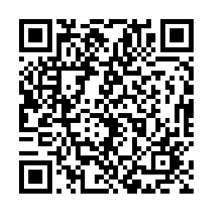 想用他们的身躯给身后的苏家族人营造一些活命的机会二维码生成