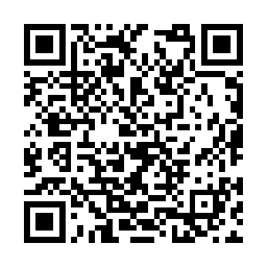 想的是假如在五龙峪景区里开设这样一个童话餐厅二维码生成