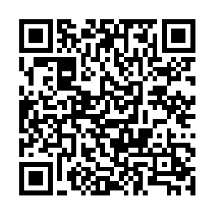 想看所有的宾客对你说诚挚的祝福――可是我做不到二维码生成