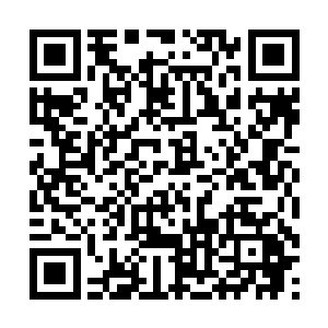 想看的小天使们打开微信加朋友搜公众号suxiaonuan1二维码生成