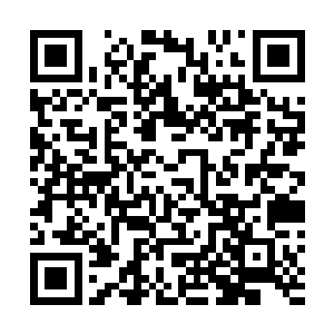 想看看是什么样的国家什么样的环境才能养出这样的人物二维码生成