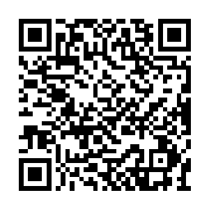 想看看这个出自飞行圣地烛龙领的黑甲军的军官二维码生成