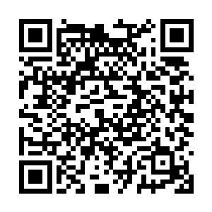 想着两位百夫长怎么懂得祭放使用这两件魔道法宝二维码生成