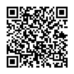 想着你回来的时候无论如何都要让你看到一个强盛的花果山……二维码生成