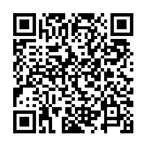 想着凤君翔再怎么不喜欢凤阳公主也不会反抗凤君泽二维码生成