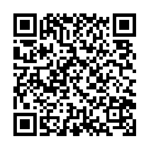 想着在里面好好休养慢慢的将元翎和那些藤子吸收掉二维码生成