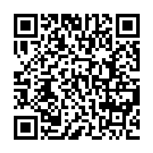 想着孟先生开口对现在那些已经爬起来的保镖还有孙云晓道二维码生成