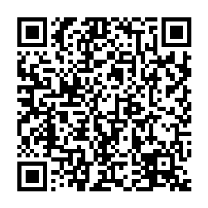 想着那天那个人吹着一个奇怪的乐器就能控制那些不死怪物的情景二维码生成