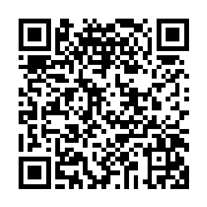 想知道小冥王邹晓明和小星君元渡的合体战技是如何形成的吗二维码生成