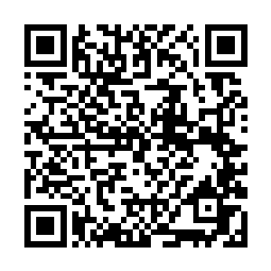 想要从她那冷淡的眼眸中看出一丝一毫的感情和动容二维码生成
