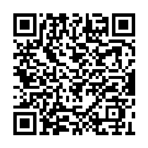 想要从扬起的沙尘中看看克拉克是否真的死透了二维码生成