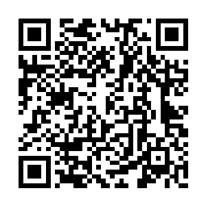 想要从里面获得冰魄灵髓的话那可是十分的危险二维码生成