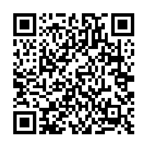 想要住在城内就得自己想办法王城可不会给你安排好住处二维码生成