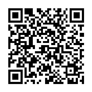 想要依靠这一分多钟干掉龙傲天这简直无异于痴人说梦二维码生成