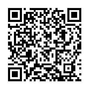 想要依靠gps记录的路线回道派拉诺的营地根本不可能二维码生成