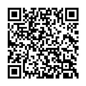 想要击杀杜天恒这样的至尊境后期最巅峰的强者二维码生成