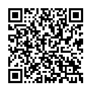 想要利用他从九天圣宫借来那件灵器来对付妖帝二维码生成