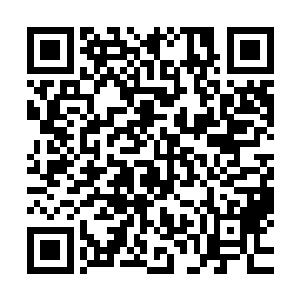 想要去帮助陈景皓对付天狼的我只好转过头朝着师姐看了过去二维码生成