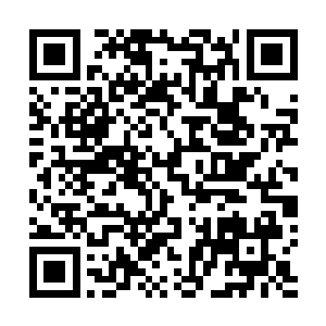 想要在一大堆对手中获得多一点的份额也不是那么容易的二维码生成