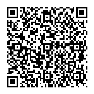 想要在从来只注重成绩而不在意个人形象不修边幅的电竞圈里找到一个让人看着顺眼的职业选手确实不容易二维码生成