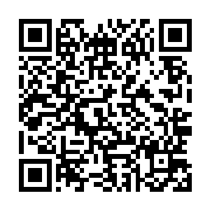 想要在叶老一家面前从林烽手中将古画要回来是不可能的了二维码生成