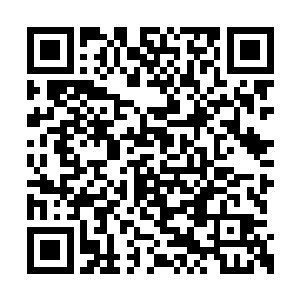 想要在短短一个多小时的时间里记住这么多单词二维码生成