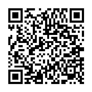 想要在这些数千年来已经拥有稳固势力群的家族中寻求合作二维码生成