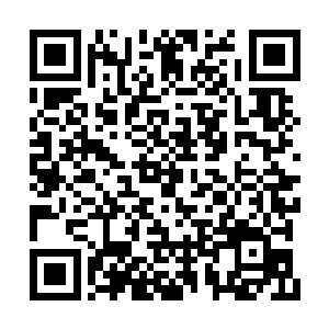 想要在青石周围将它整体挖掘也仿佛是不可能的二维码生成
