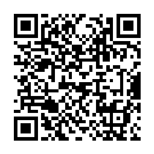 想要堂堂正正地凭借实力面而不是天赋战胜陈长生二维码生成