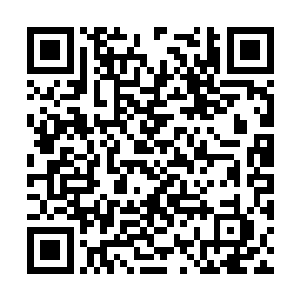 想要寻找兽族强者告诉他们天翼神虎就在剑尘身上二维码生成