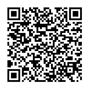 想要将剑尘元神中那一股令它血液都在沸腾的神秘力量给吸纳过来二维码生成