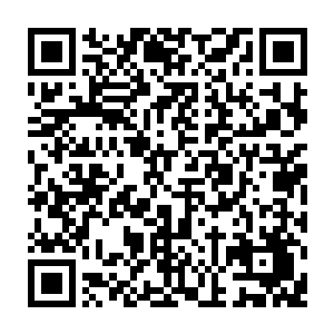 想要将最后一个伪灵根培育成一个真灵根也不是这么短的时间里能够成功的二维码生成
