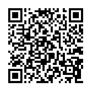 想要帮助母亲却只能像是可悲的蛀虫一般蠕动着二维码生成