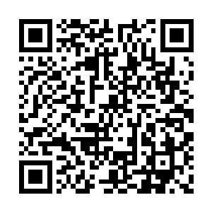 想要强行从紫色方四人的手底下将大龙给抢过来二维码生成