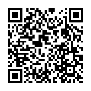 想要征讨那些刚刚飞升上来的星球也只有依靠仙舟二维码生成