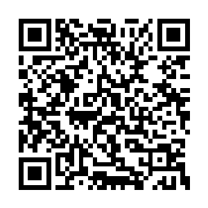 想要得到她的话只能用这些东西来吸引他们上钩二维码生成