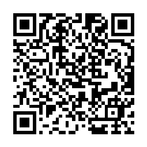 想要得到邪灵之海中酝酿的那个生命的认同――可不太容易二维码生成