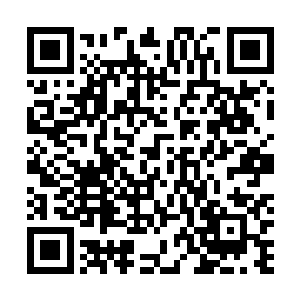 想要成为紫玉灵匣真正的主人必须将御灵诀修练到第十层二维码生成