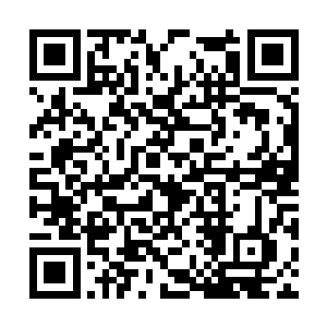 想要把无极锁元阵顺利的在鳄蛟岛上完全布置妥当二维码生成